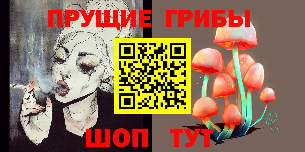 Бердск  Псилоцибиновые грибы MAGIC MUSHROOMS  Вход с VPN  Псилоцибиновые грибы мухоморы 
