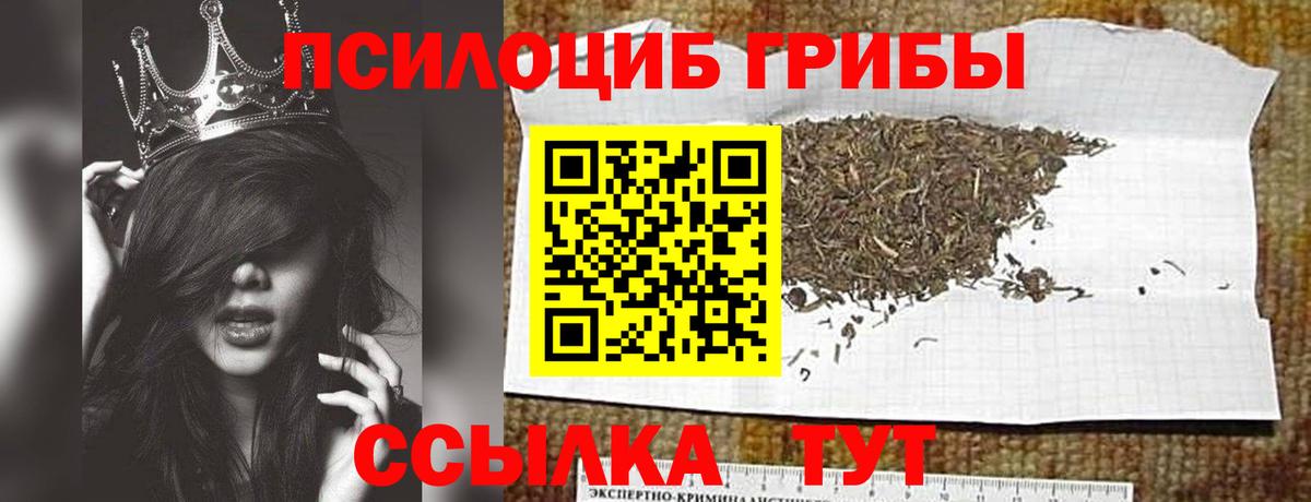 Галлюциногенные грибы прущие грибы Бердск